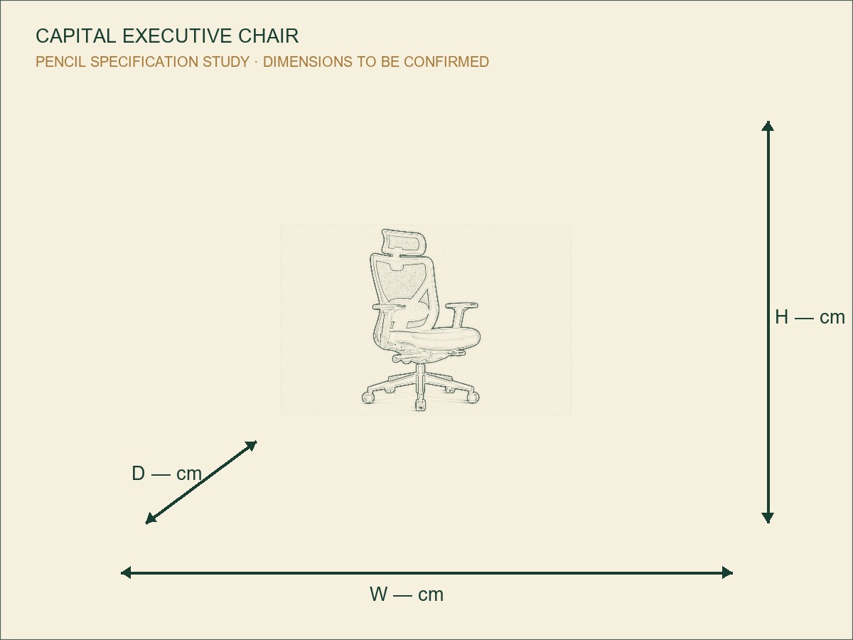 كرسي كابيتال التنفيذي — 7